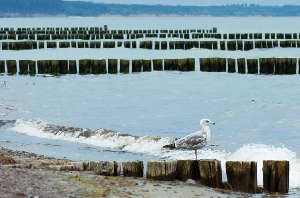 Hotel Makler an der Ostsee